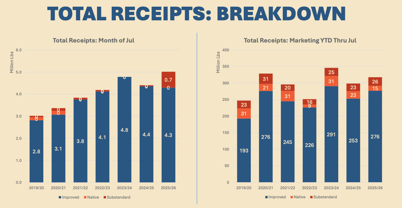July 2026 Pecan Market Analysis - Handler Receipts